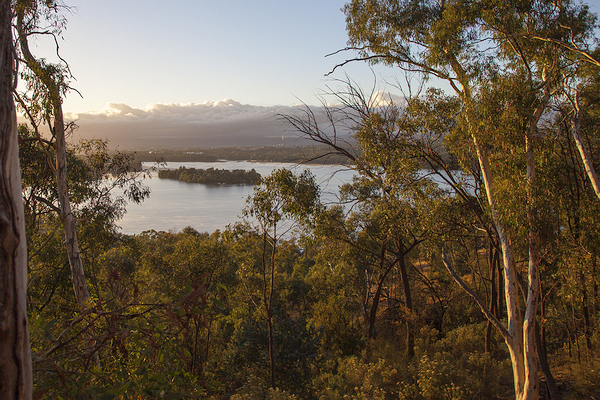 View from the Lookout at the Bushland Nature Trail