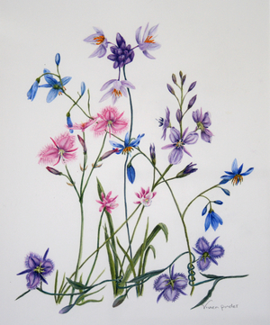 Native Lilies - Vivien Pinder