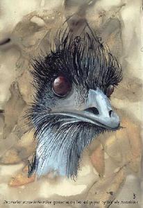 Emu 1 (Dromiaus novaehollandiae) - Gouache on boiled paper - Wendy Antoniak
