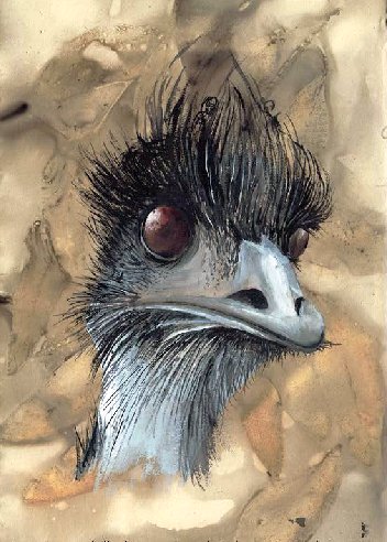Emu 1 (Dromiaus novaehollandiae) - Gouache on boiled paper - Wendy Antoniak