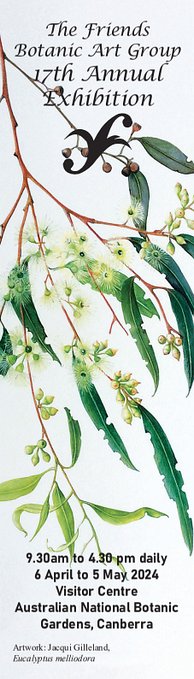 Bookmark - Jacqui Gilleland: Eucalyptus Meliodora