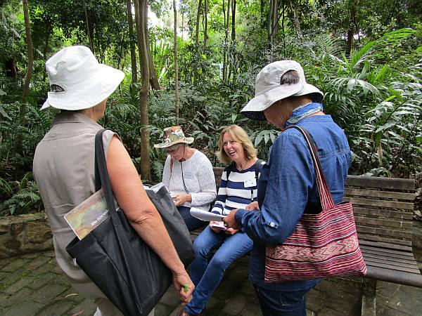 Practice walk in the Rainforest