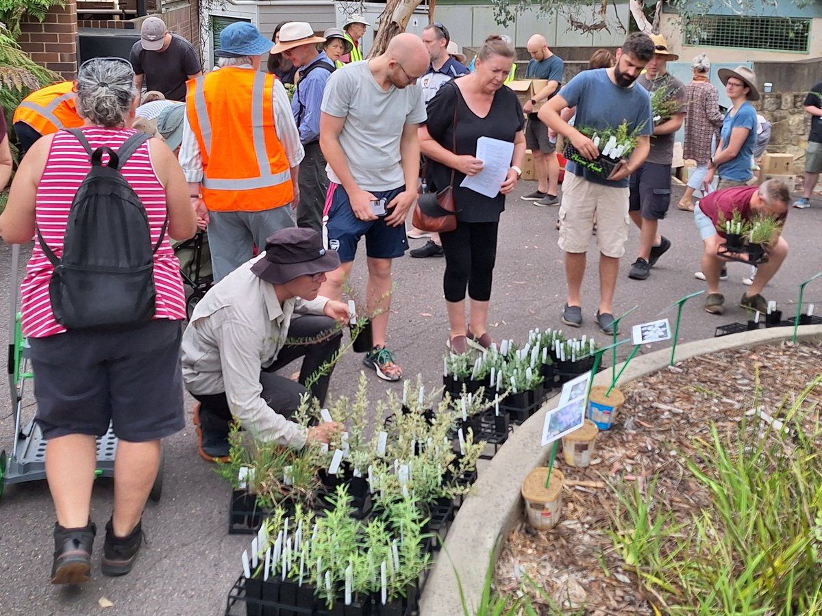 Plant buyers choosing from the native plants on sale