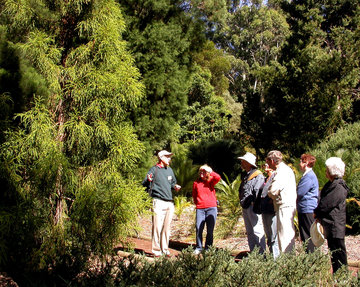 Voluntary Guide and visitors at the ANBG (Photo: Alan Munns)