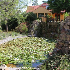 Walcott garden - house and middle pond