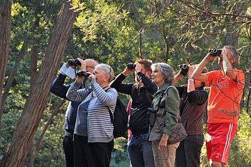 Breakfast with the Birds in the ANBG (Photo: Alan Munns)