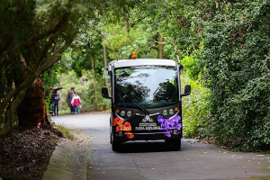 Explore the Gardens in our Flora bus