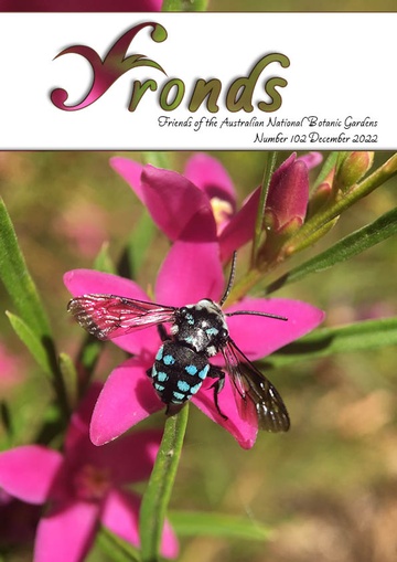 Cover of Fronds 102 December 2022