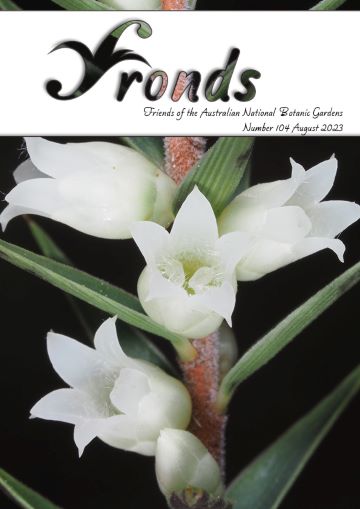 Cover of Fronds 104 August 2023