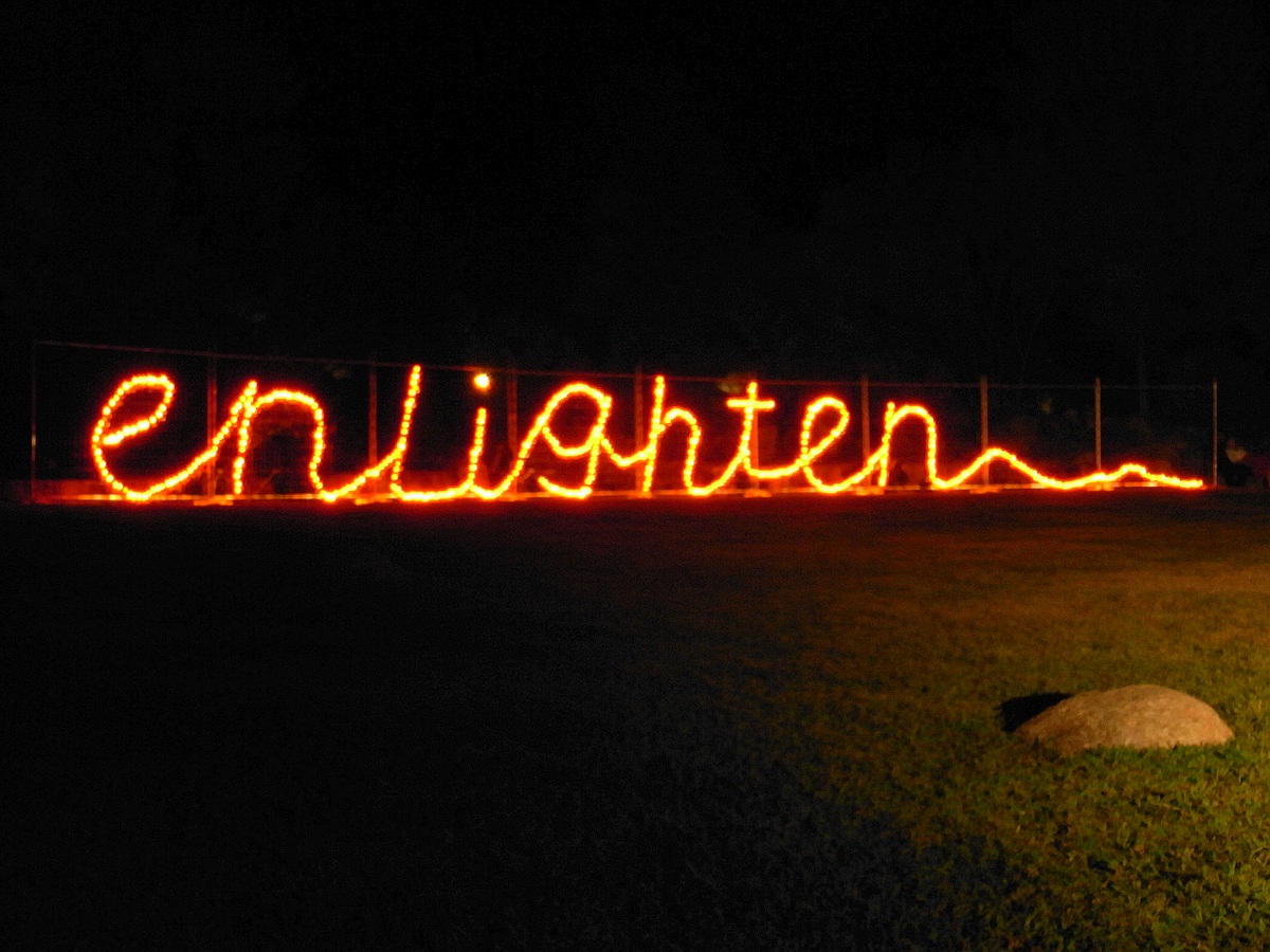 enlighten - on the lawn