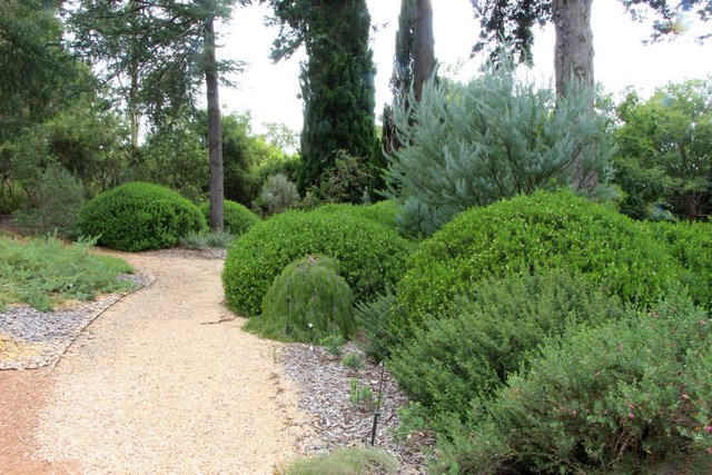 A snippet of the Walcott Garden