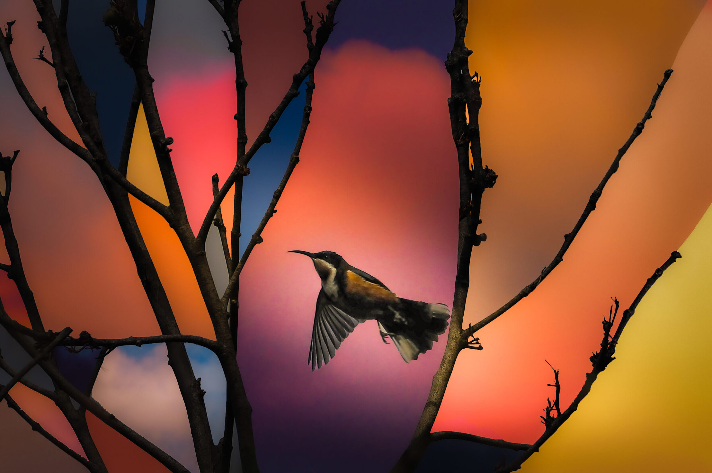 Commended 'Stained Glass' Jordan Smith Canberra College