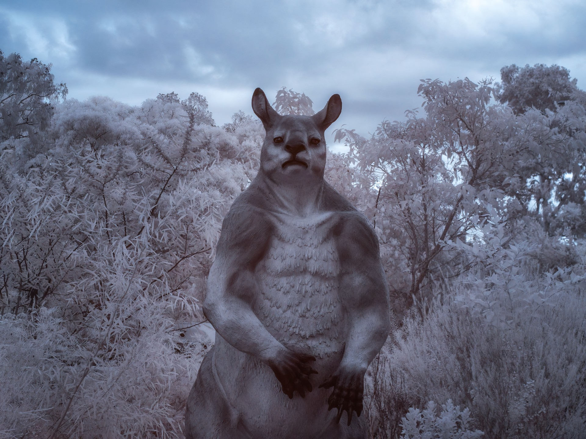 Graham Gall Procoptodon (Megafauna week)