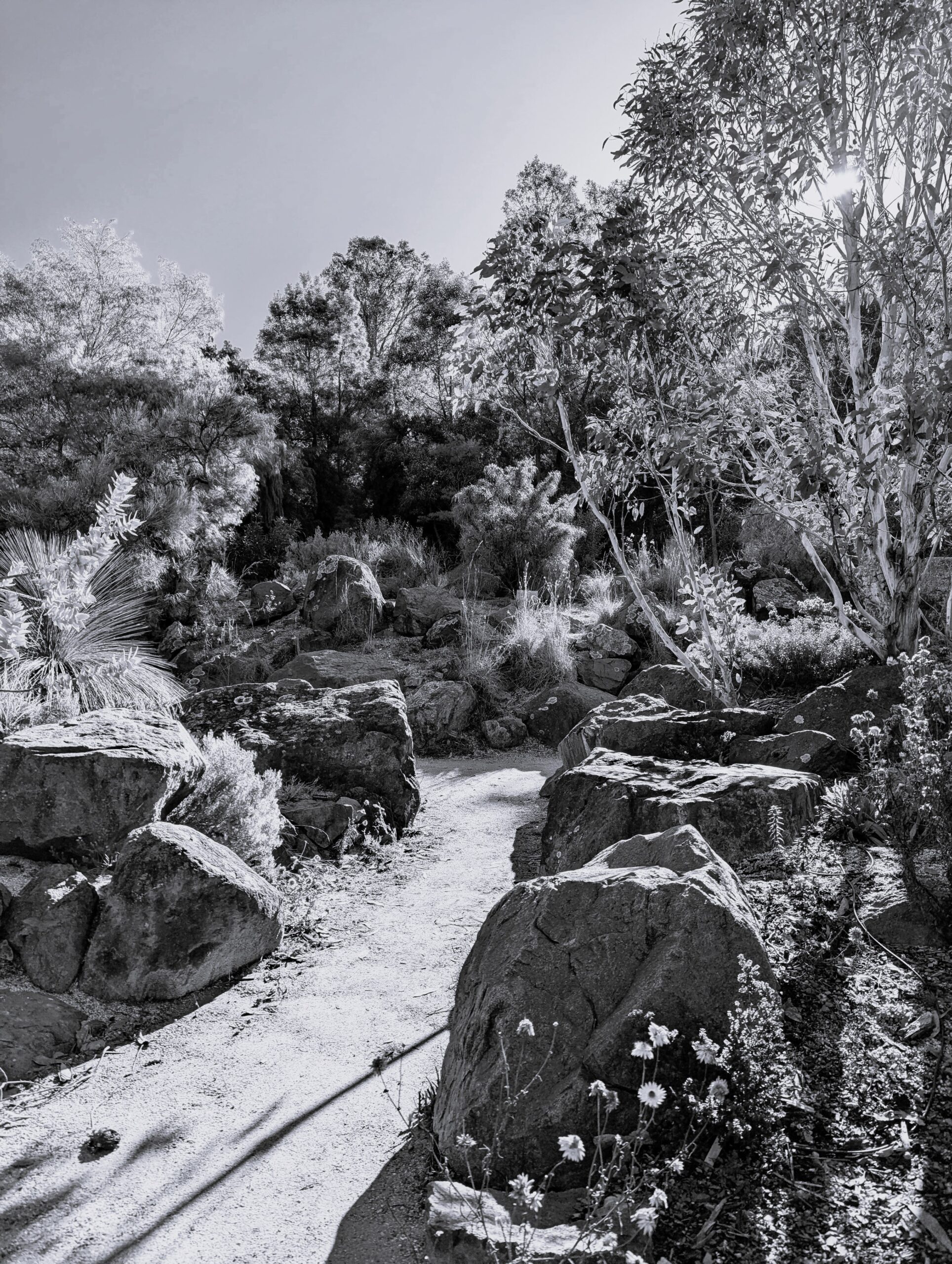 3rd 'Afternoon shadows' Jeremy Devlin Amaroo School