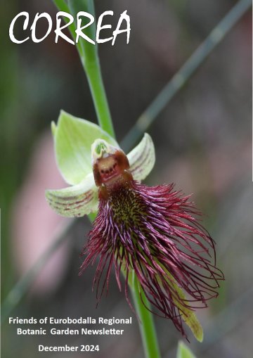 Correa cover Dec 2024 360×509