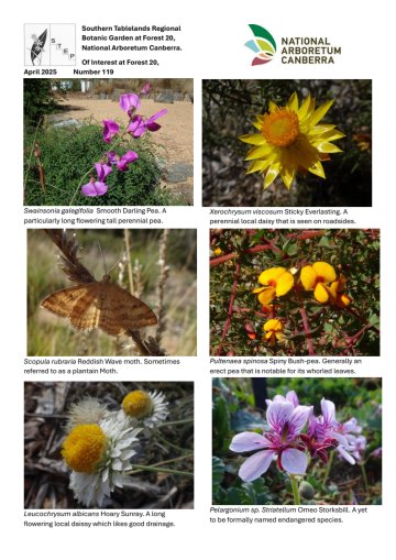 STEP Garden newsletter April 2025