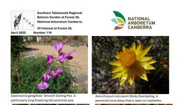 STEP Garden newsletter April 2025