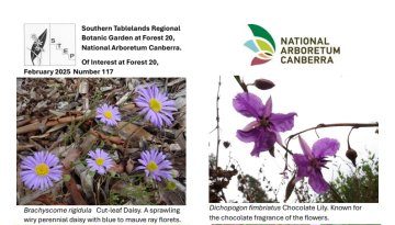 Of Interest at Forest 20 February 2025 – cover_360x509