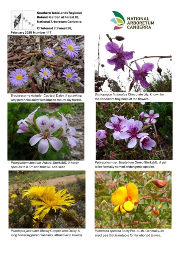 Of Interest at Forest 20 February 2025 – cover_360x509