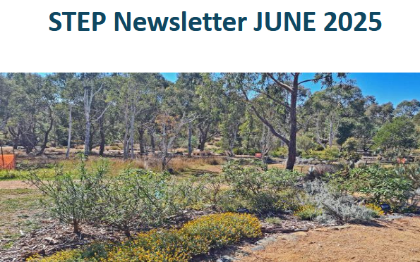 Image from front page of the June 2025 STEP newsletter