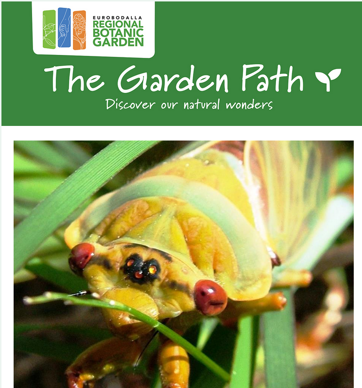 Front cover of Jan/Feb 2025 edition of CORREA