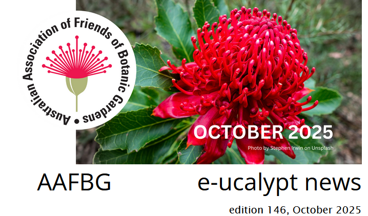 Cover of October 2025 edition of e-ucalypt news (AAFBG)