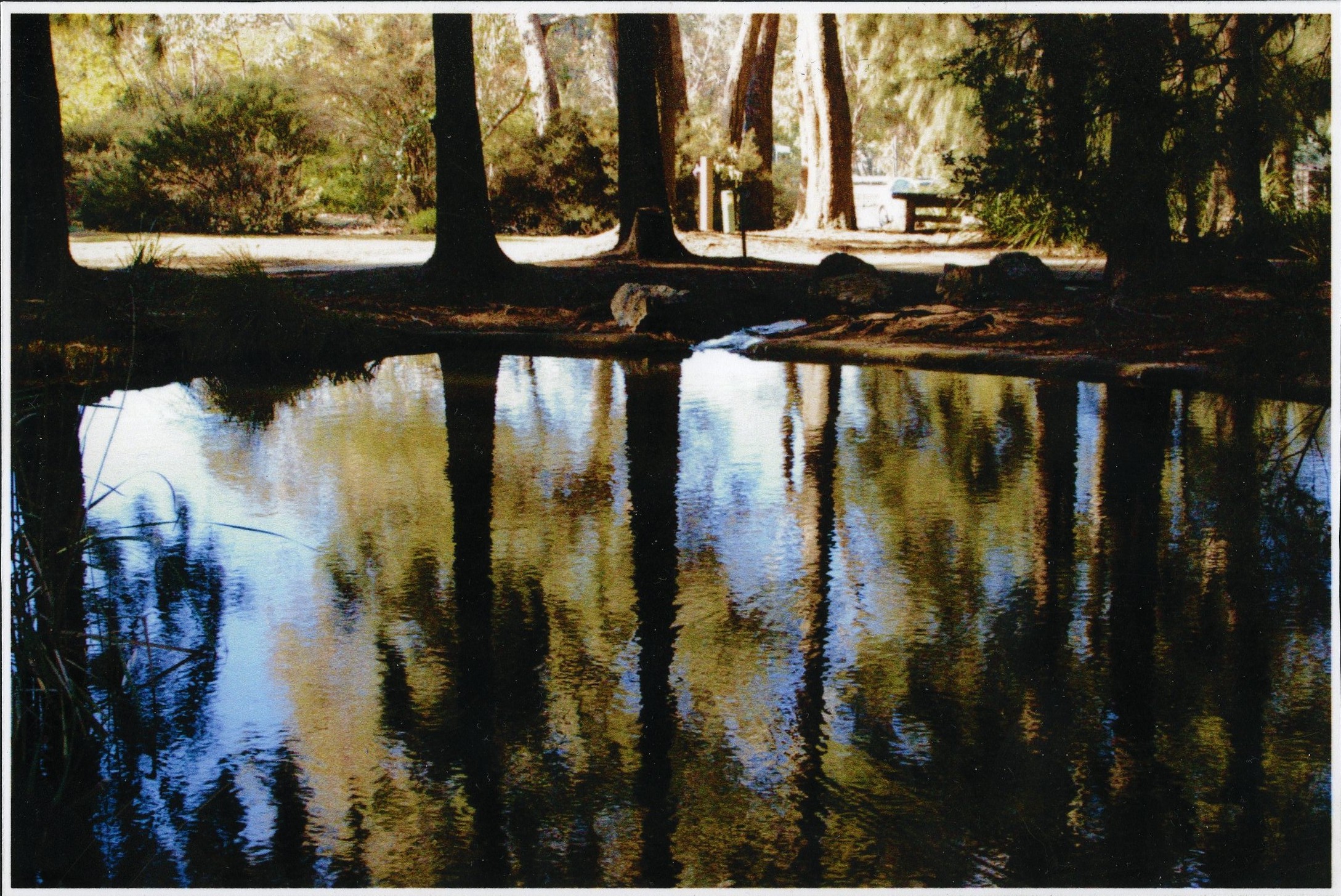 Commended High School - Colour Oscar Swirepik, Mount Stromlo High "Pond"