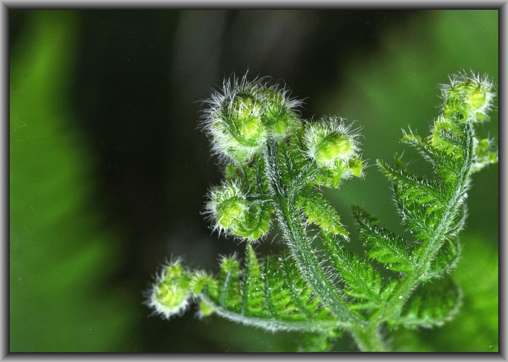 2nd Prize College - Colour Courtney Tanner, Canberra College Untitled