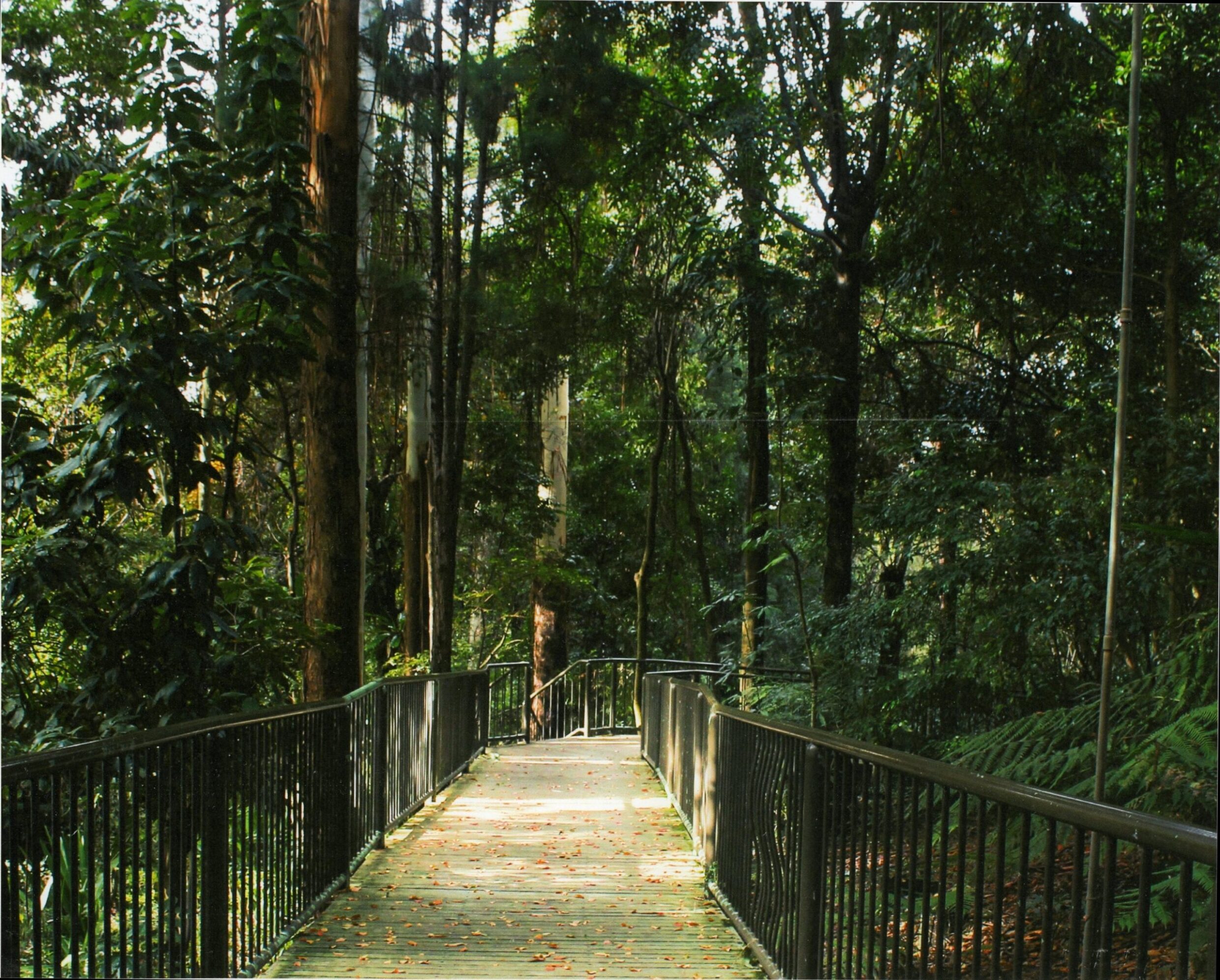 3rd Prize College - Colour Natasha Fister, Canberra College "Beyond the Bridge"