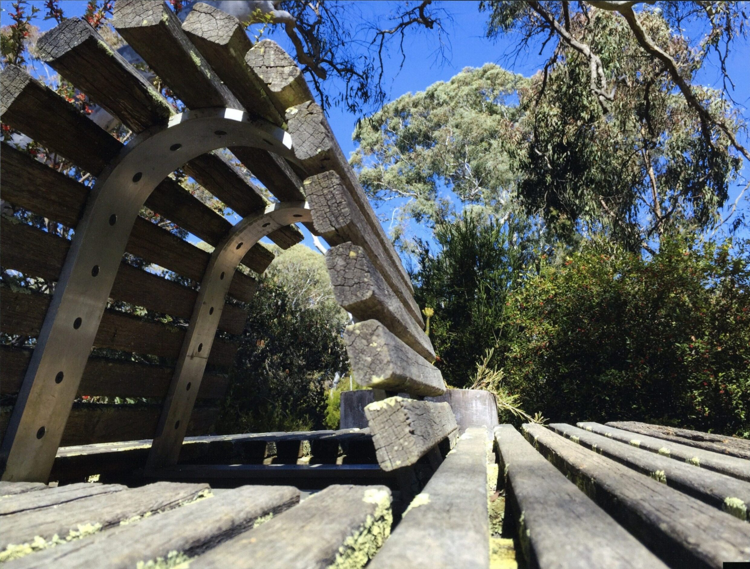 Highly Commended High School - Colour Wendy Nguyen, Canberra High School "Wood in nature"