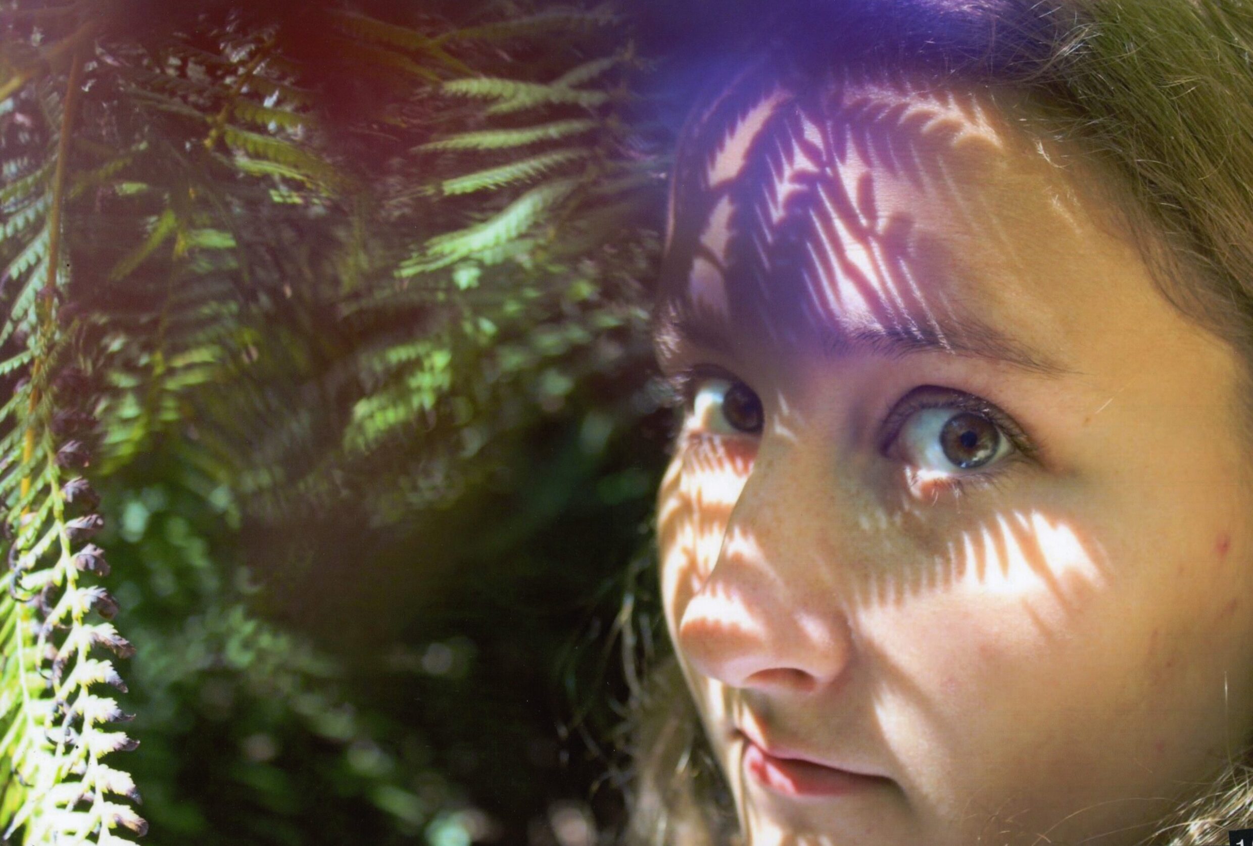 2nd Secondary Colour Looking at Me Netti Nguyen, Canberra High School