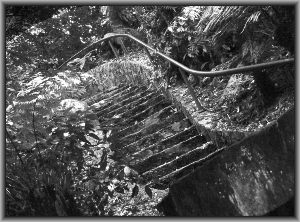 Highly Commended: Katie Monk, Canberra College "Path to Eternity"