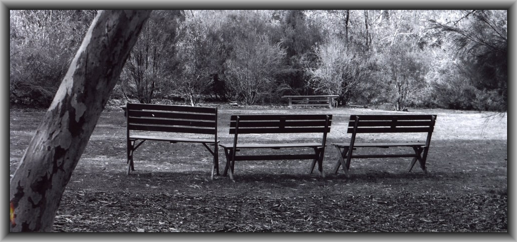 Third Prize: Madison Corbett, St Clare's College "Seats"