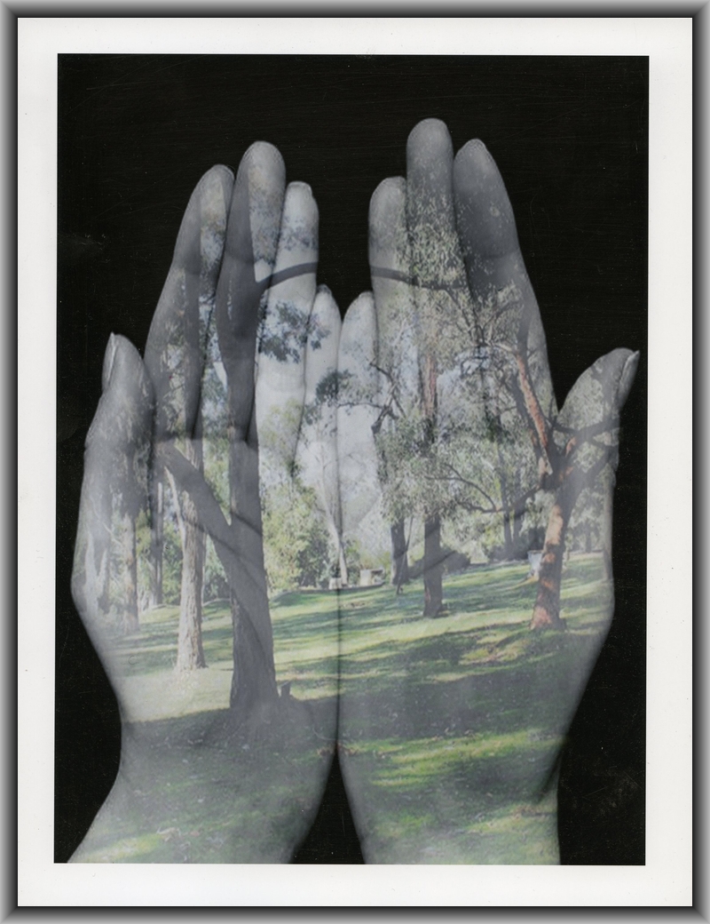 Commended Altered images Catherine Penhale, Canberra College "The Hands of Mother Nature"
