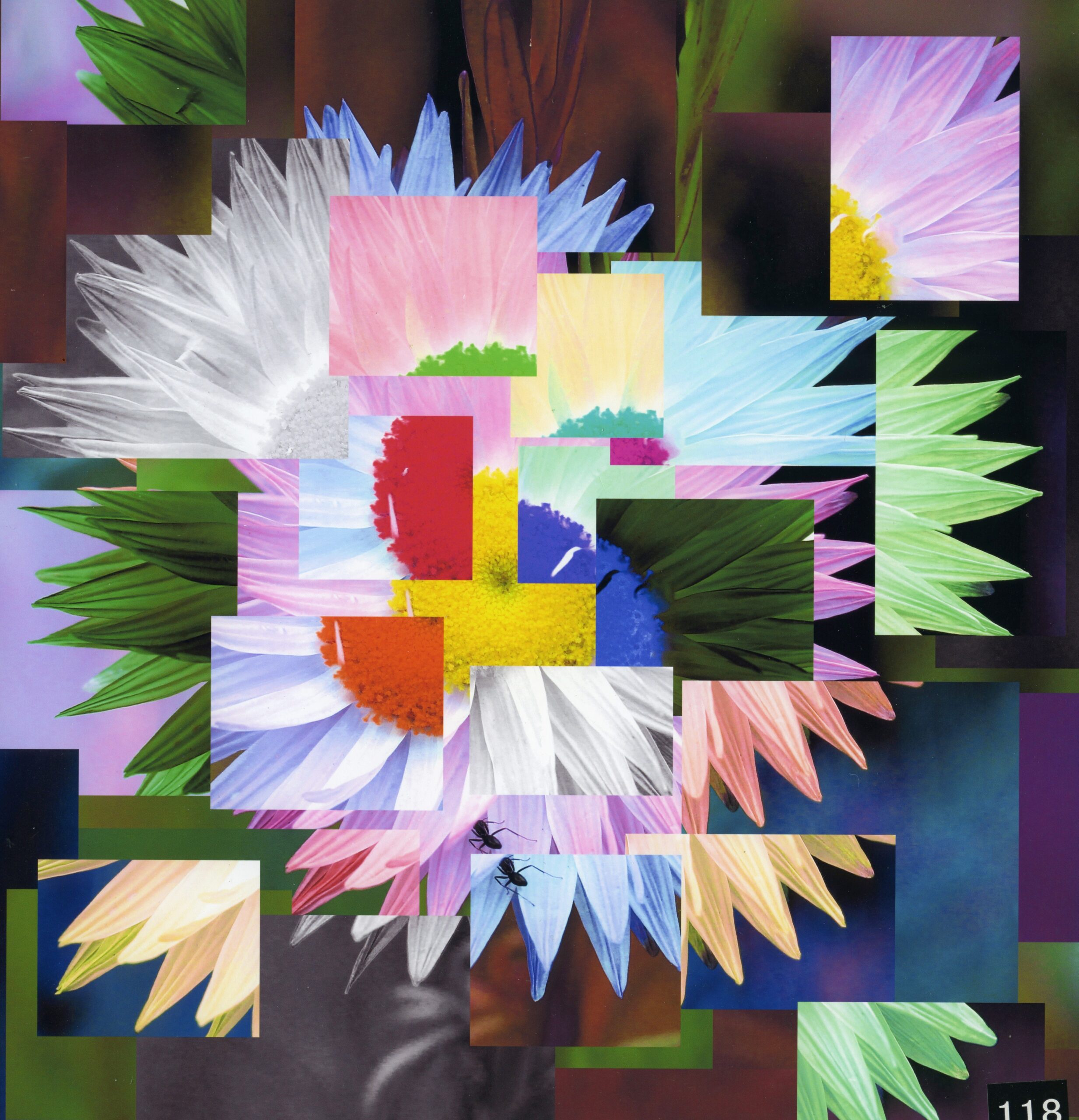 3rd Altered Reality Virtual Nature Isabella Quan, Erindale College