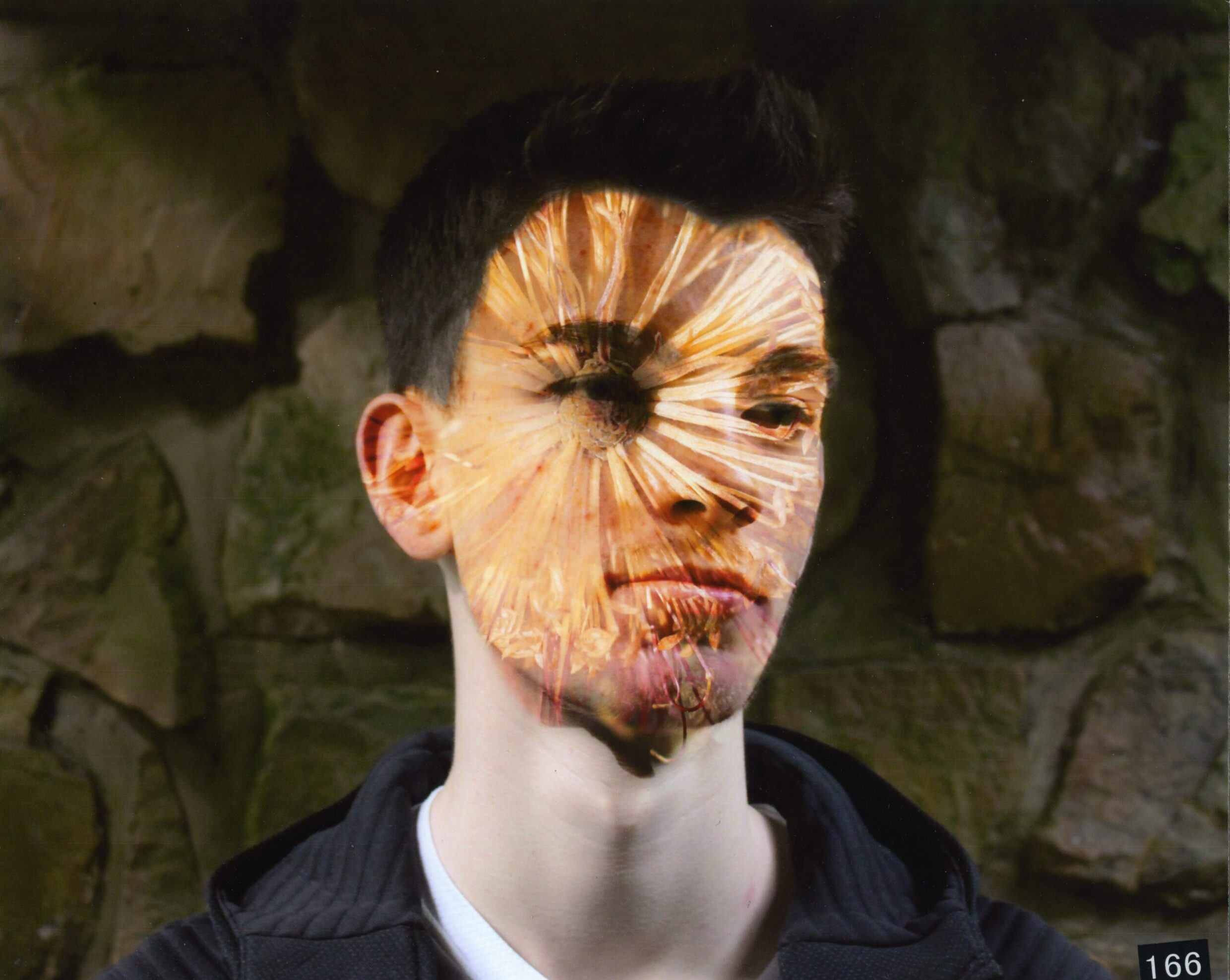 1st Altered Reality Dripping Bottle Brush Amy Lancaster, UCSSC Lake Ginninderra