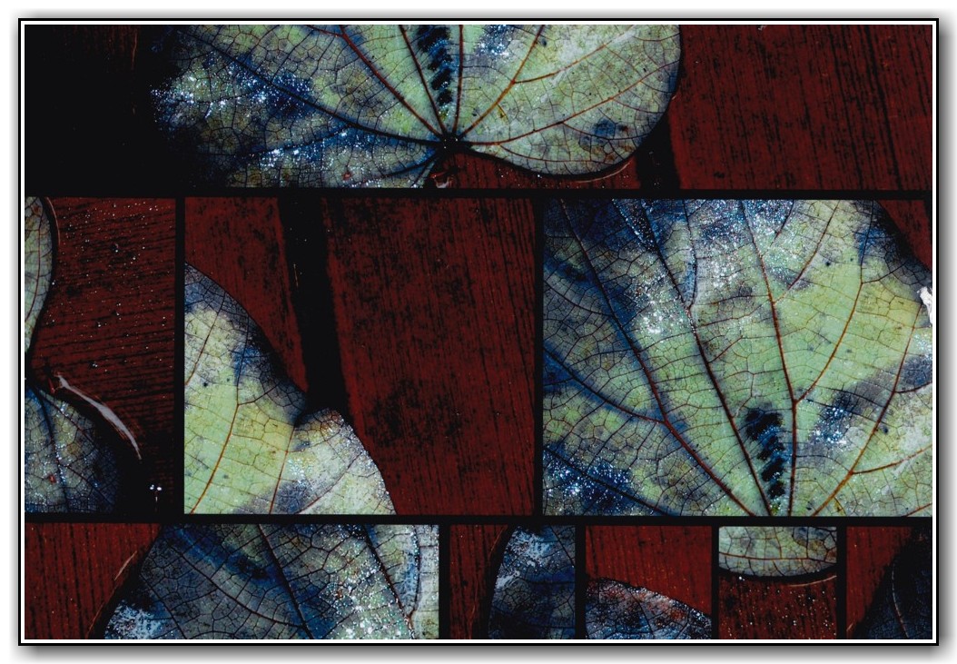 3rd Prize Open - Digital / Photographic Effects Courtney Mahon, St Clare's College "All Cut Up"