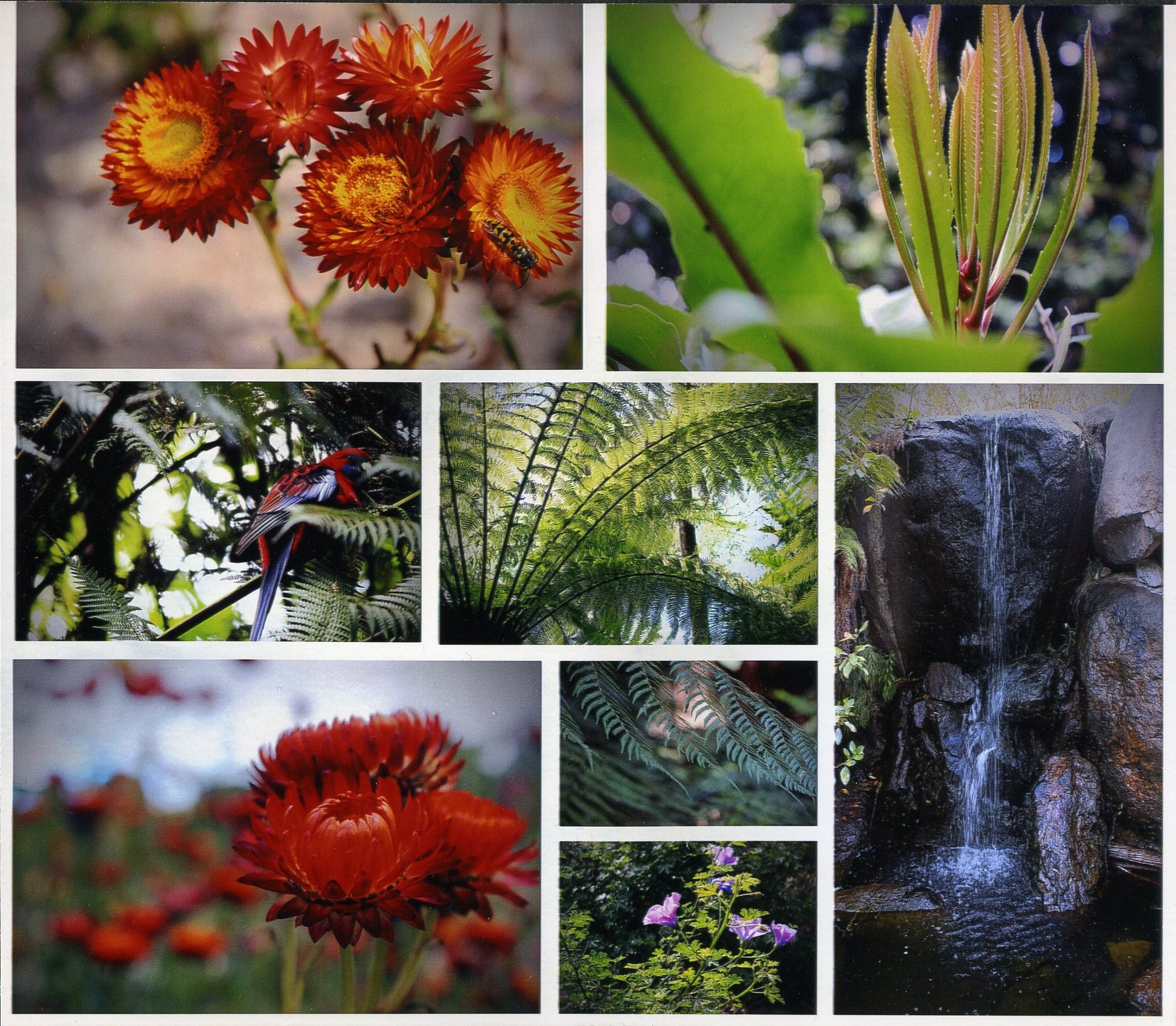 2nd Prize Altered Images Nisali Jayasinghe, Telopea Park School "Little Things"