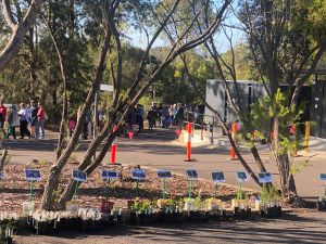 2026 Growing Friends Plant Sale