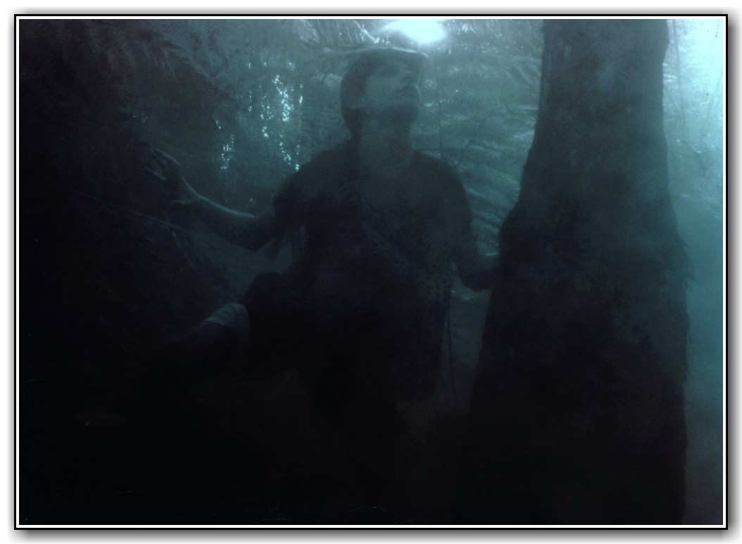 2nd Prize Open - People in the Gardens Dominik Hrstic, Canberra High School "Savage Chief"