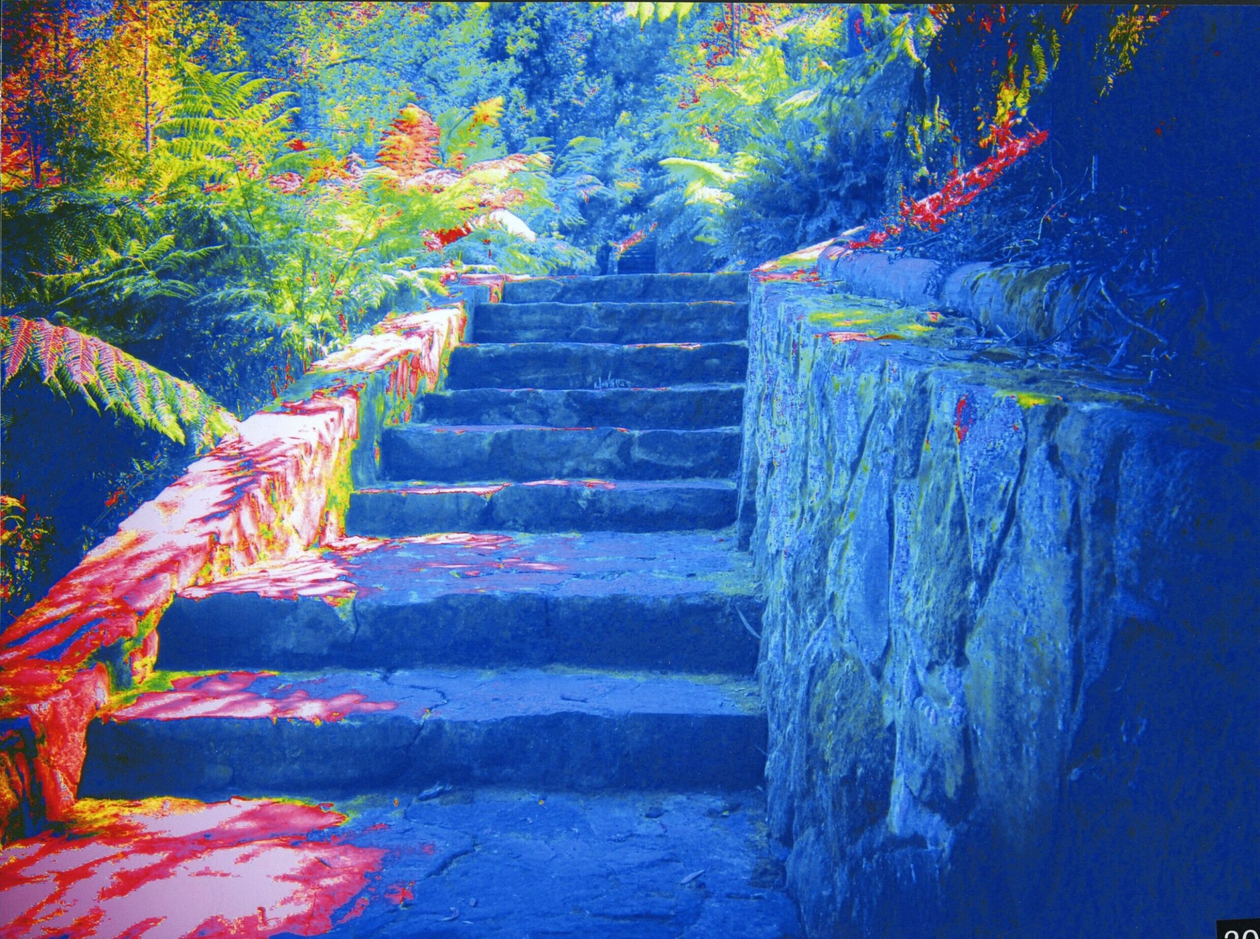 Commended Altered Images Eliza Harrison, Canberra High School "Rainbow Stairs"