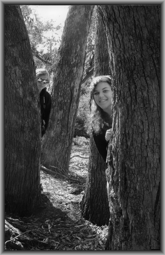 Highly Commended People in the Gardens Lil Whitfeld, Canberra HS "In the Night Garden"