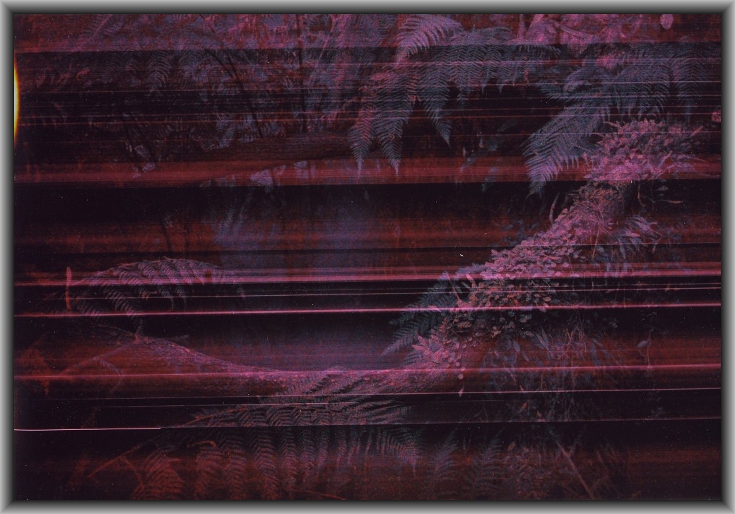 Highly Commended: Madison Corbett, St Clare's College "Haunted Garden"