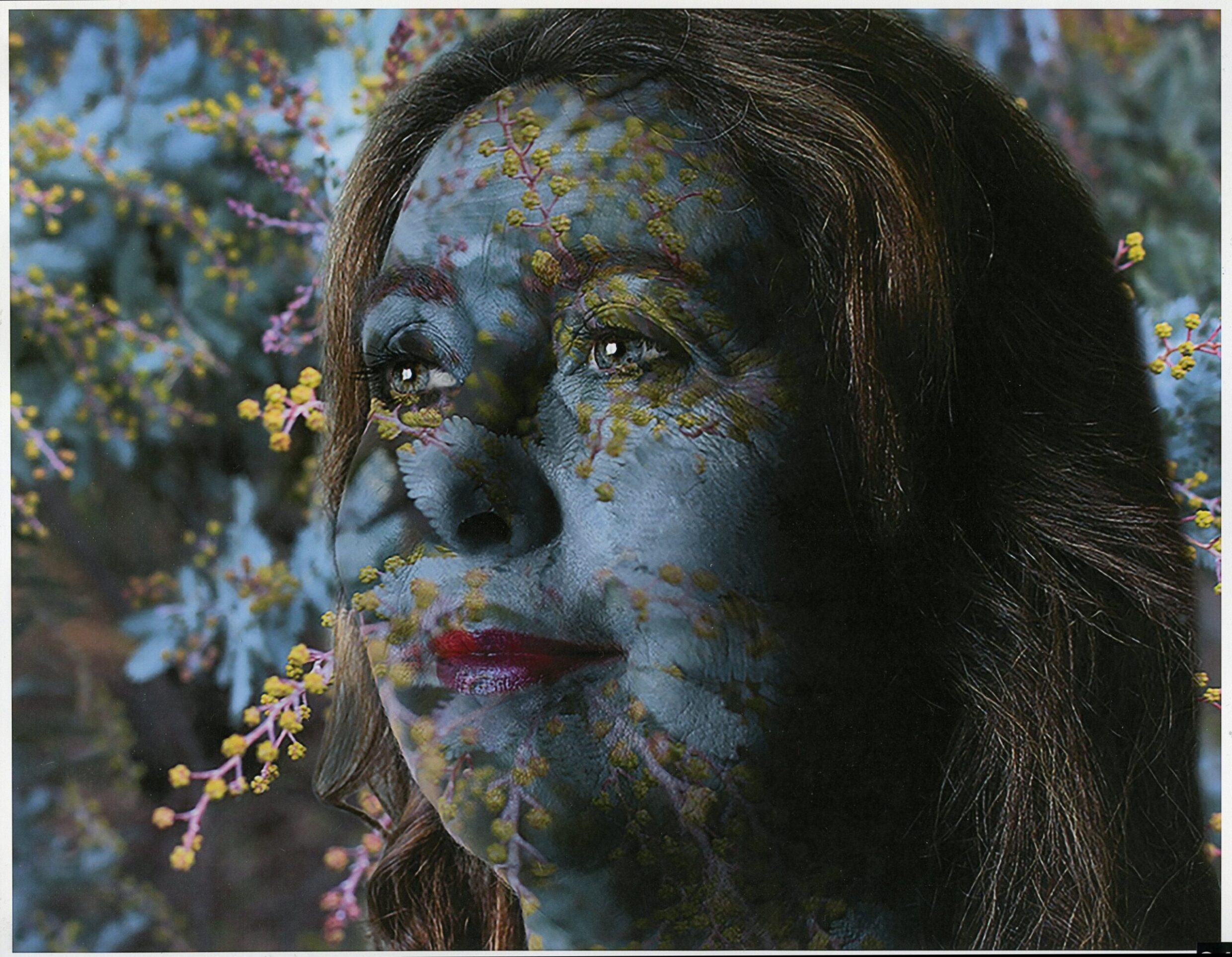 3rd Prize Altered Images Emma Horton, Canberra College "Botanic Avatar"