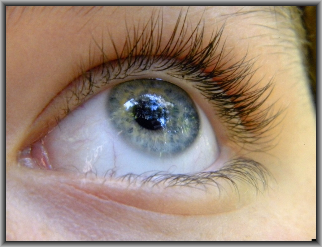 Alex Williams, Canberra HS "The Eye"