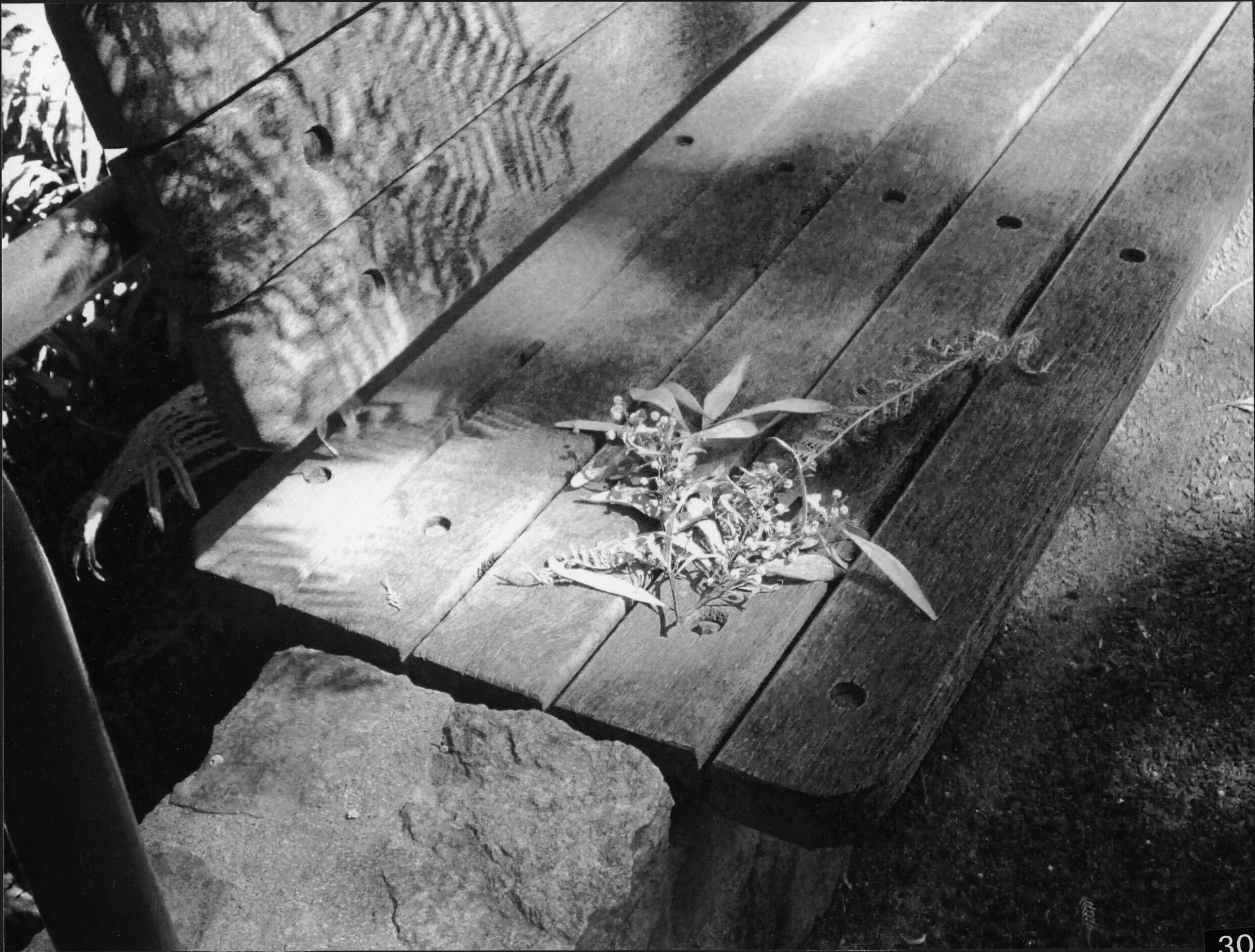 2nd Prize High School - Black and White Skylar McEwan, Canberra High School "Faded Memories"