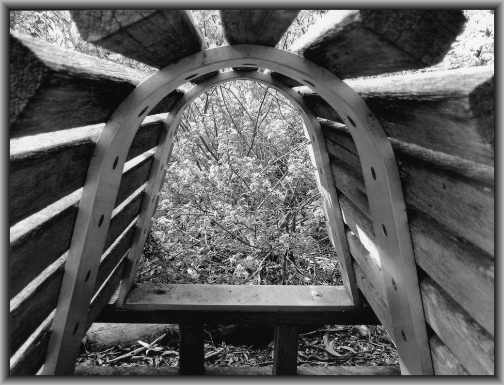 1st Prize High school - Black & white Jenny Wang, Canberra HS "Trapped"