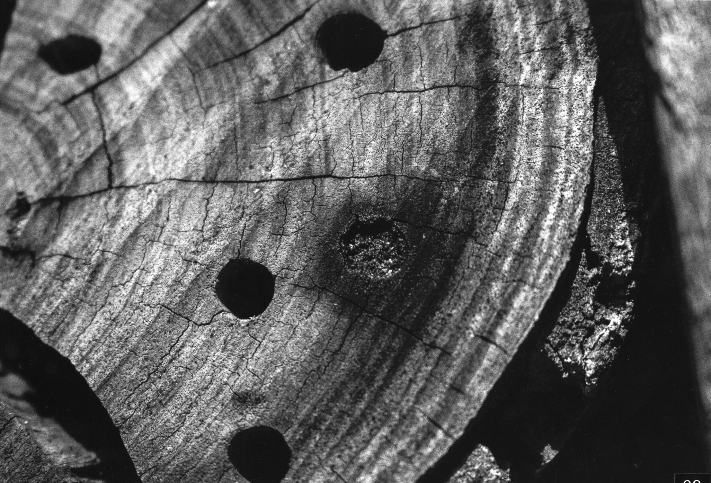 5th Secondary Monochrome 2 Jared Parsons, Dickson College