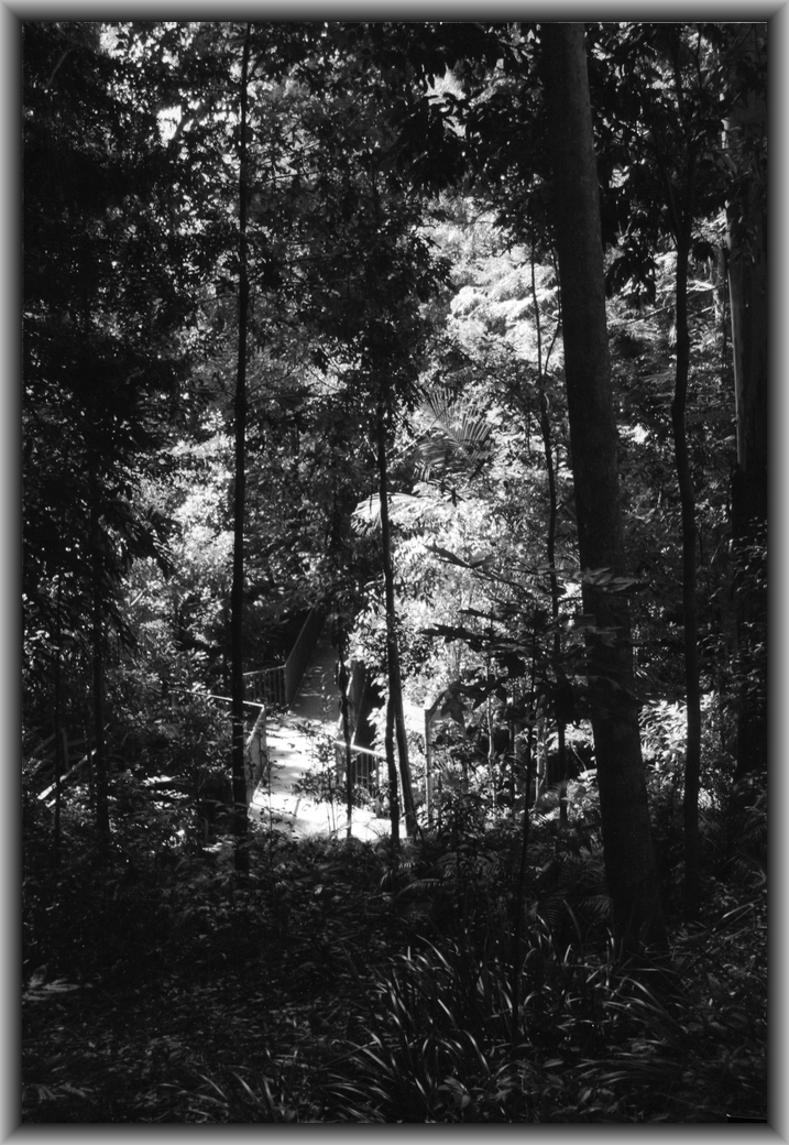 Highly Commended High school - Black & white Laura Pease, Canberra HS "Lines to the Light"