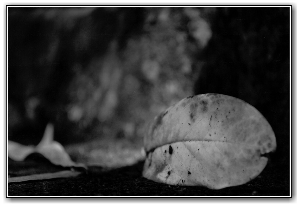 3rd Prize College Black and White Alex MacKinlay, Canberra College "Down in the Dirt"